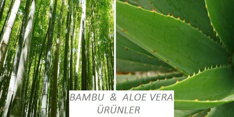 bambualoevera